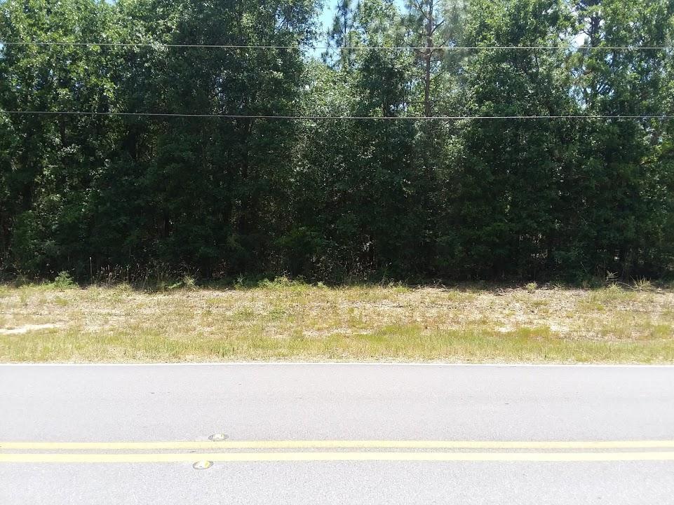 7-acres Lake Silver Road Crestview, FL 32536 - Photo 1 of 5 .7 Acrs Lake Silver Rd1