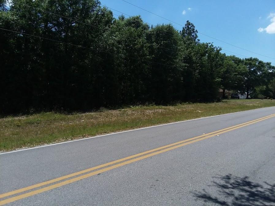 7-acres Lake Silver Road Crestview, FL 32536 - Photo 3 of 5 .7 Acres Lake Silver Rd3