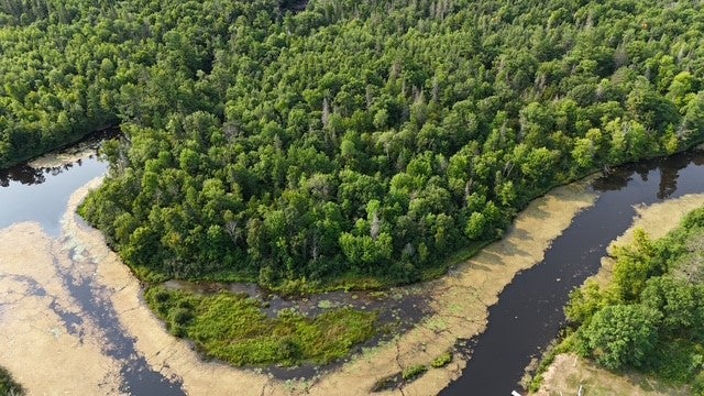 0 Colton Road Minong, WI 54859 - Photo 17 of 22 Gallery Image 17