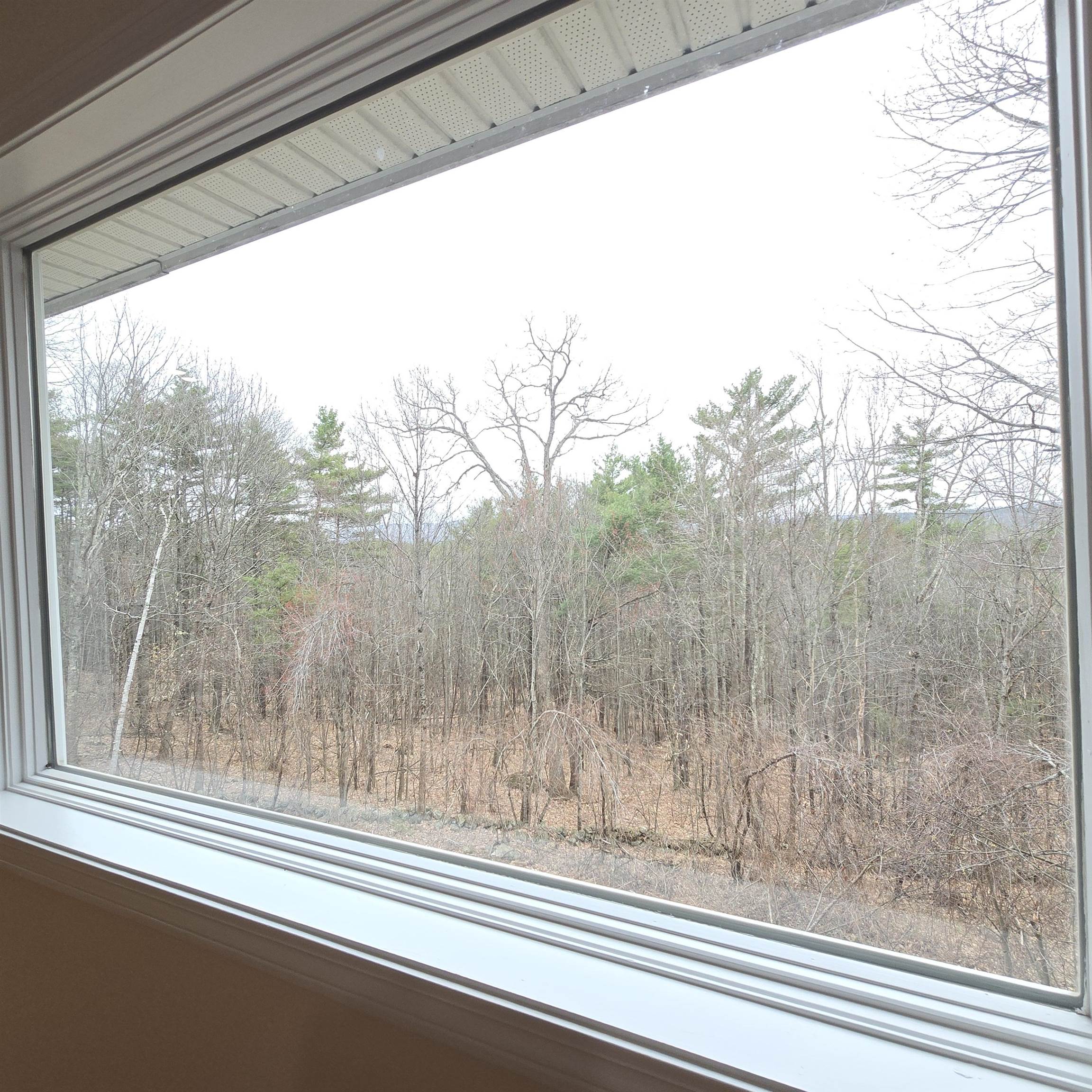 126 Range Road Alton, NH 03809 - Photo 5 of 10