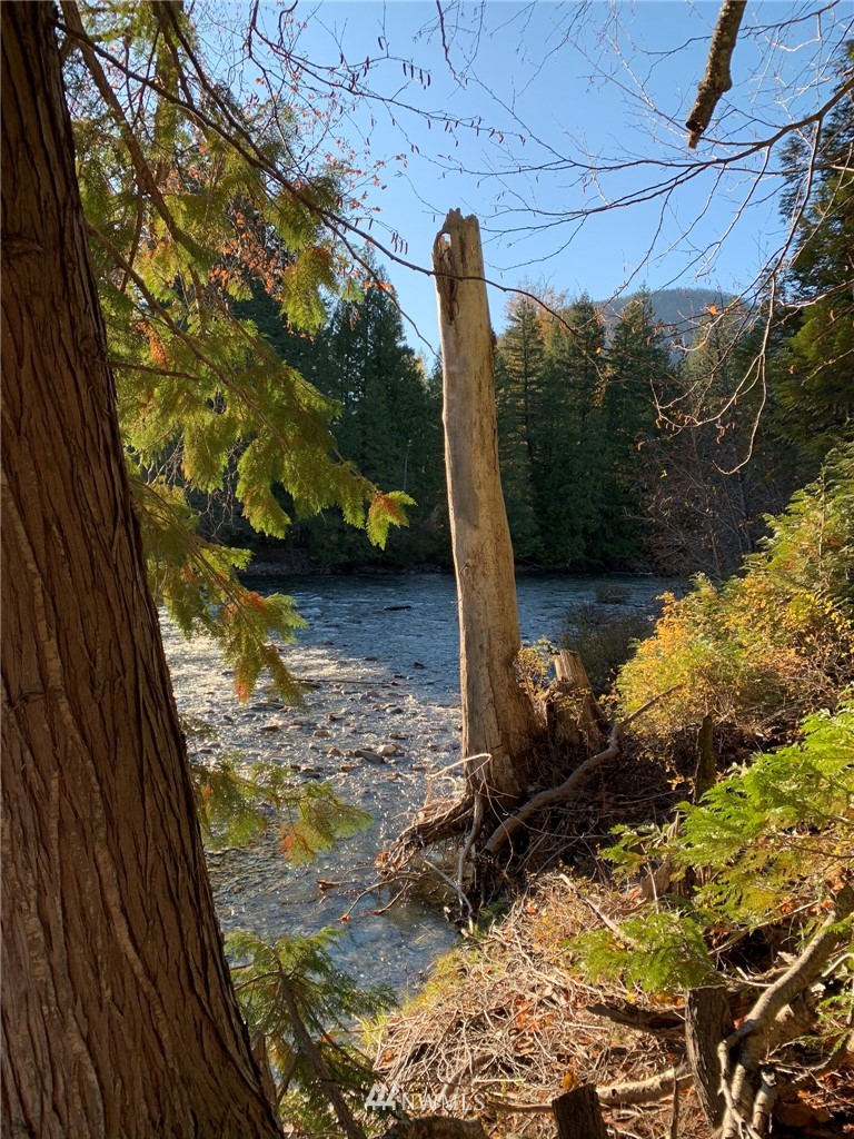 12 Mazama Rocks Road Mazama, WA 98833 - Photo 15 of 40 Gallery Image 15