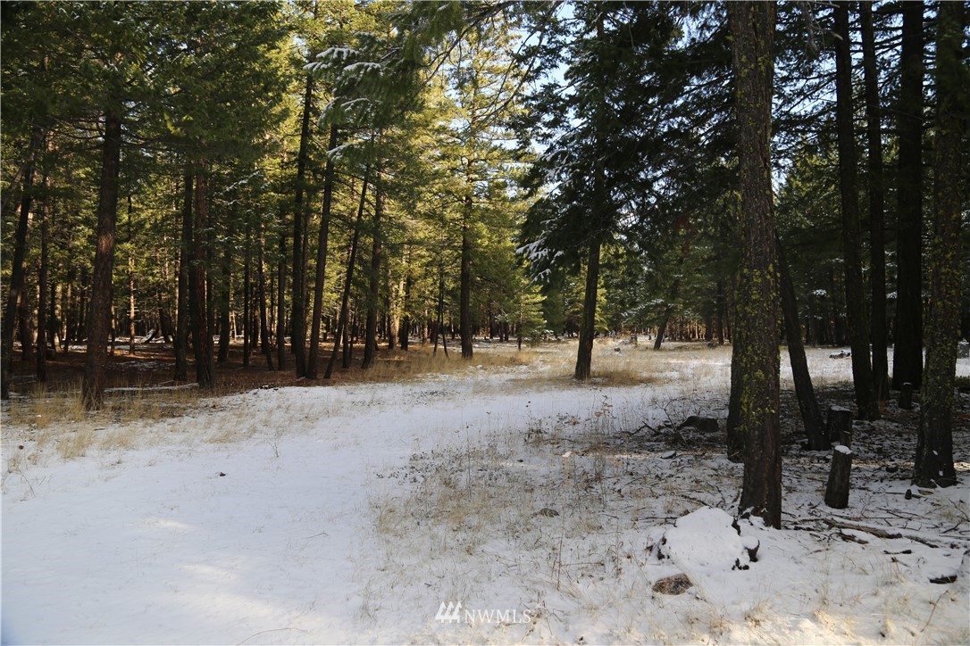 12 Mazama Rocks Road Mazama, WA 98833 - Photo 22 of 40 Gallery Image 22