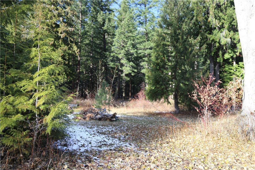 12 Mazama Rocks Road Mazama, WA 98833 - Photo 23 of 40 Gallery Image 23