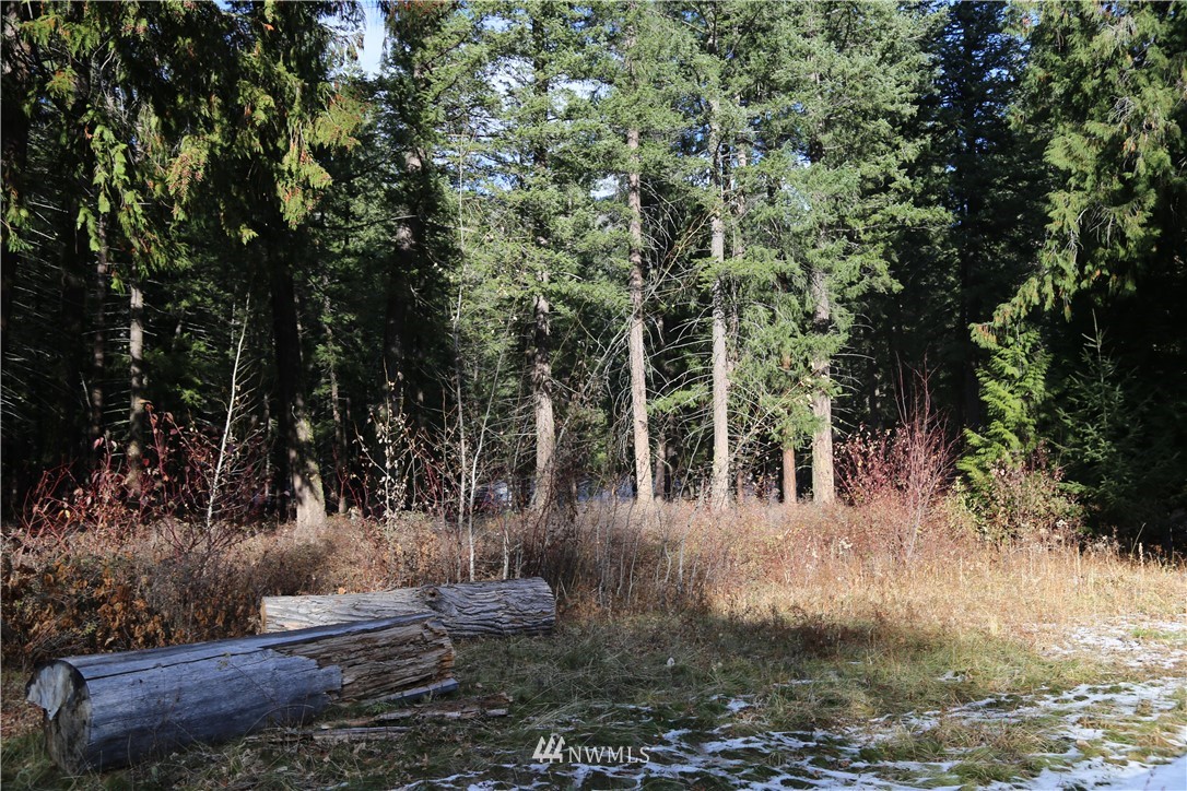 12 Mazama Rocks Road Mazama, WA 98833 - Photo 25 of 40 Gallery Image 25