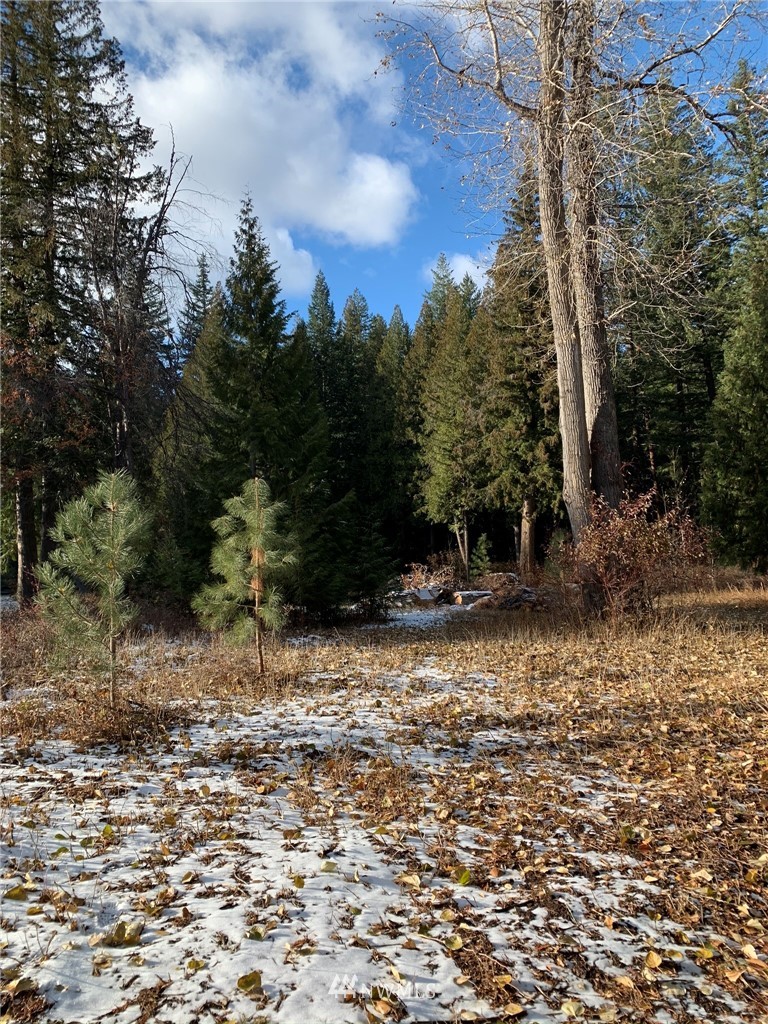12 Mazama Rocks Road Mazama, WA 98833 - Photo 39 of 40 Gallery Image 39