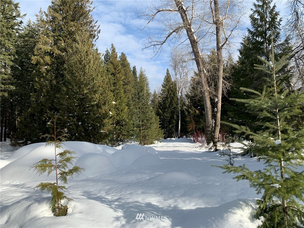 12 Mazama Rocks Road Mazama, WA 98833 - Photo 6 of 40 Gallery Image 6