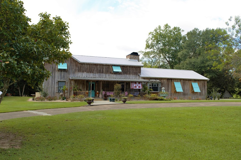 65 Whittimore Road Tylertown, MS 39667 - Photo 3 of 42 Photo 3