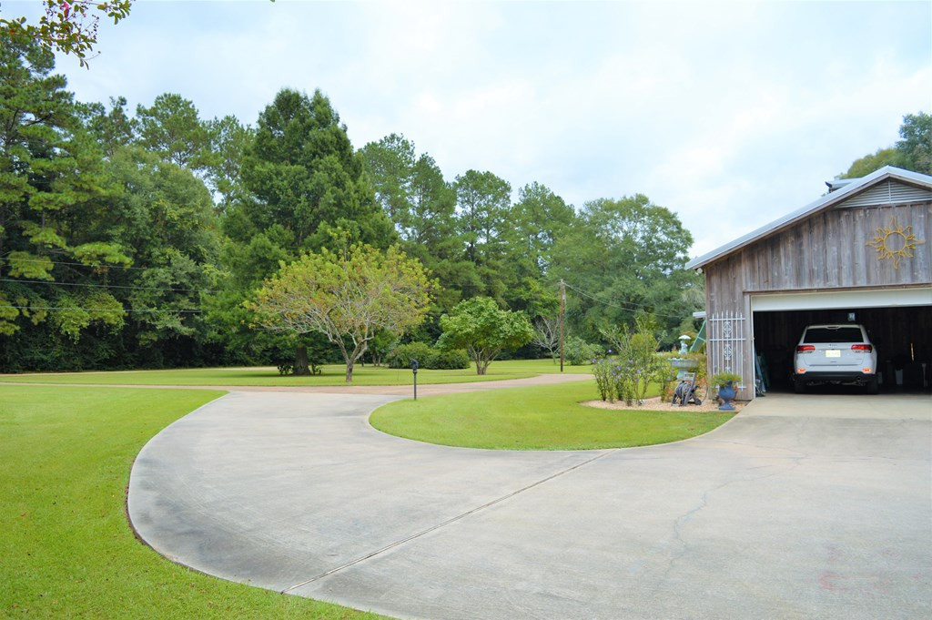 65 Whittimore Road Tylertown, MS 39667 - Photo 6 of 42 Photo 6