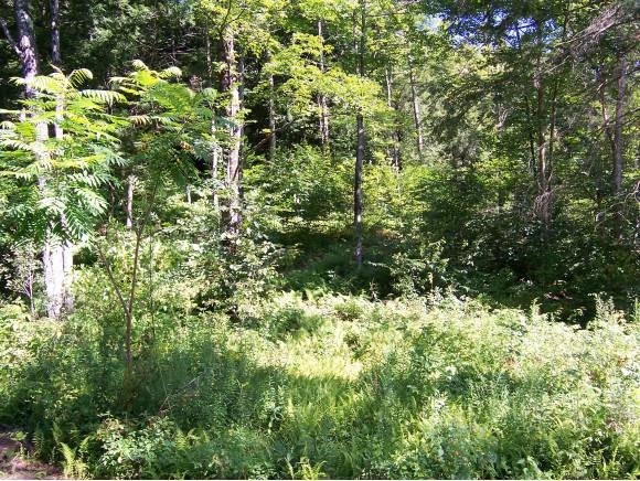 Tbd County Road East Fairfield, VT 05448 - Photo 1 of 1