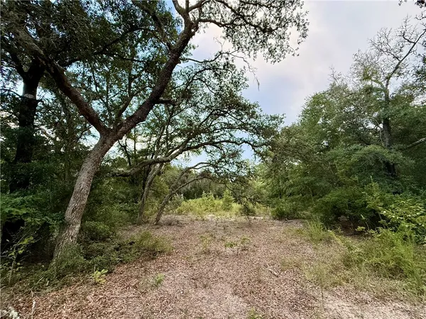 $110,000 | 6005-6007 Tree Top Lane, Blackshear, GA 31516