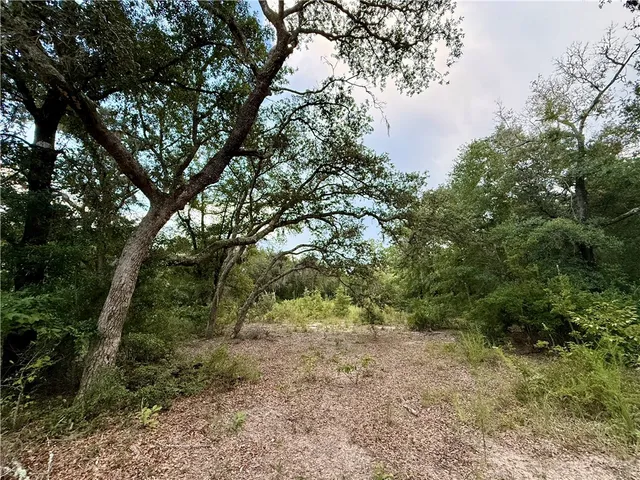 $115,000 | 6005-6007 Tree Top Lane, Blackshear, GA 31516