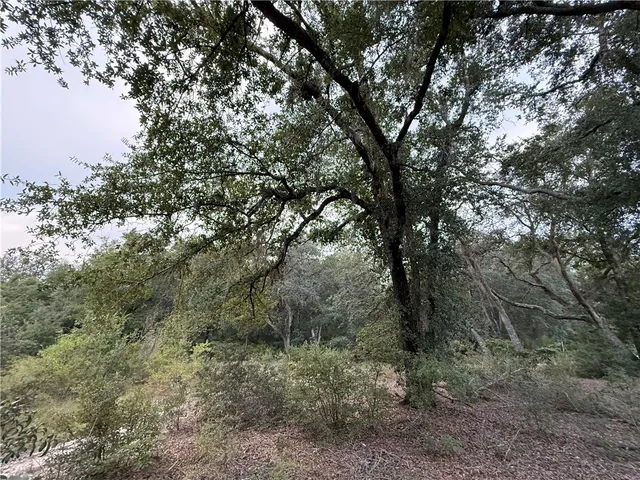 $115,000 | 6005-6007 Tree Top Lane, Blackshear, GA 31516