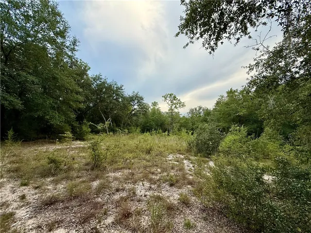 $115,000 | 6005-6007 Tree Top Lane, Blackshear, GA 31516