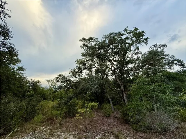 $115,000 | 6005-6007 Tree Top Lane, Blackshear, GA 31516