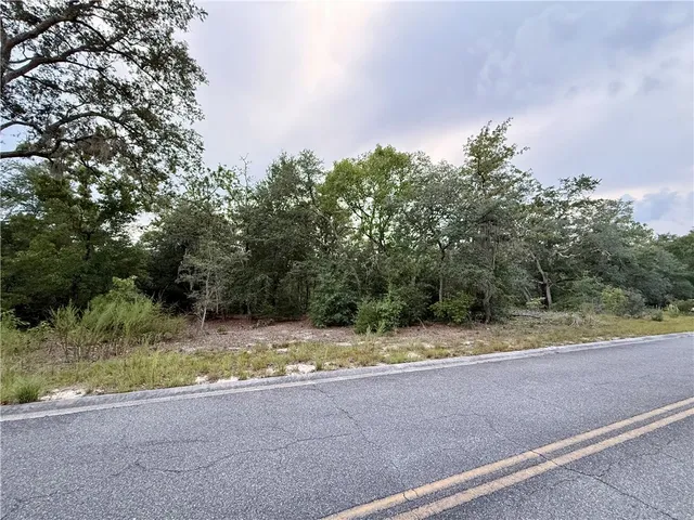 $115,000 | 6005-6007 Tree Top Lane, Blackshear, GA 31516