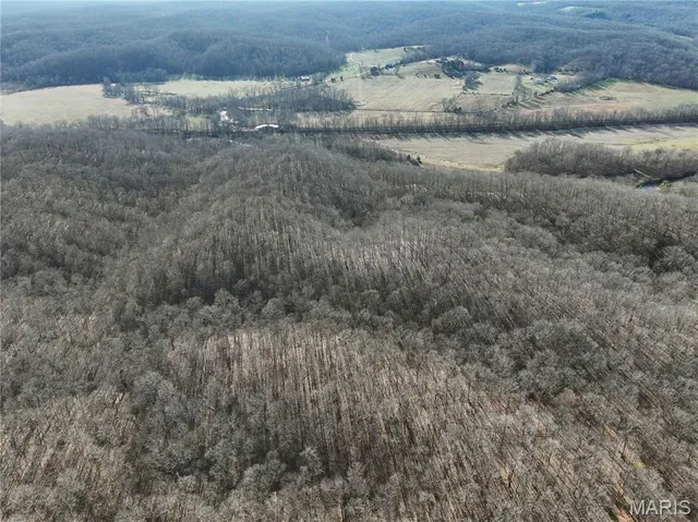 $500,000 | 23609 State Hwy OO, Glenallen, MO 63751