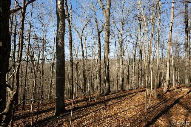 $500,000 | 23609 State Hwy OO, Glenallen, MO 63751