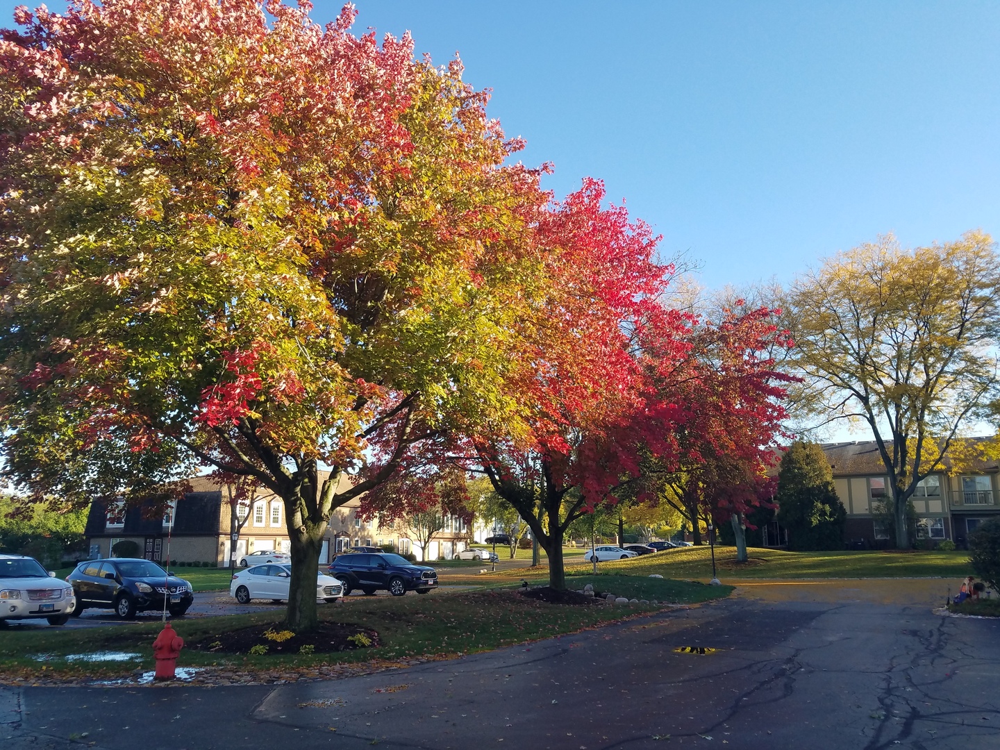 146 West Golf Road, Unit C Libertyville, IL 60048 - Photo 2 of 24 a street view with large trees