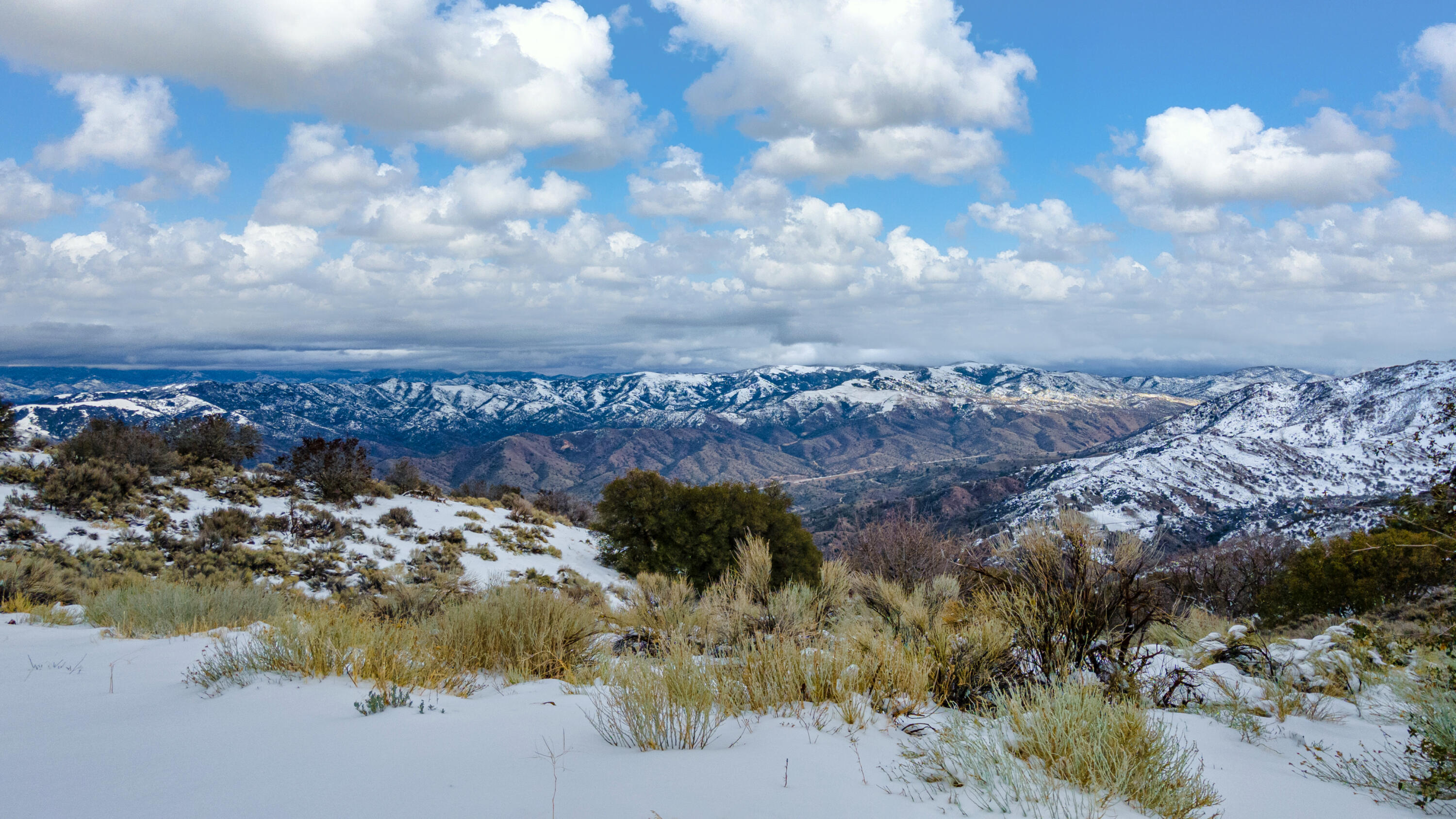 26201 Rifle Court Tehachapi, CA 93561 - Photo 8 of 10 DJI_0008