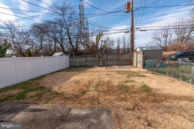 a view of a backyard with large tree