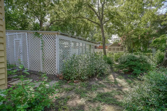 a view of a pathway in a backyard