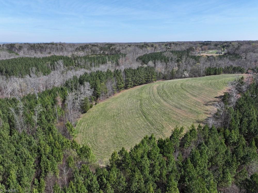 508 New Lebanon Church Road Reidsville, NC 27320 - Photo 13 of 35