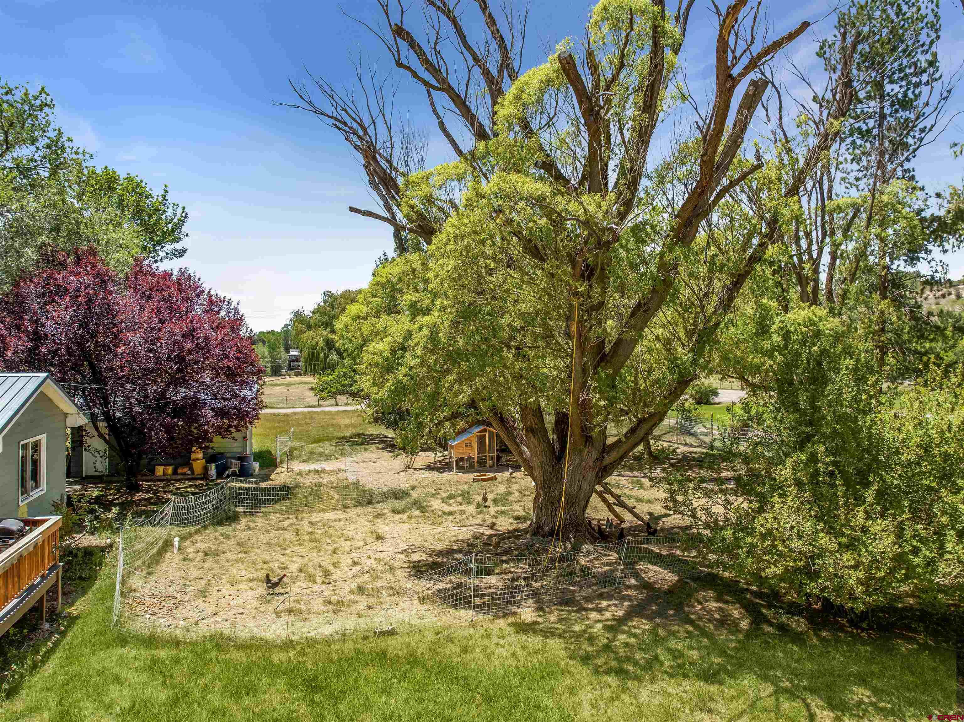 10944 3500th Road Hotchkiss, CO 81419 - Photo 42 of 45