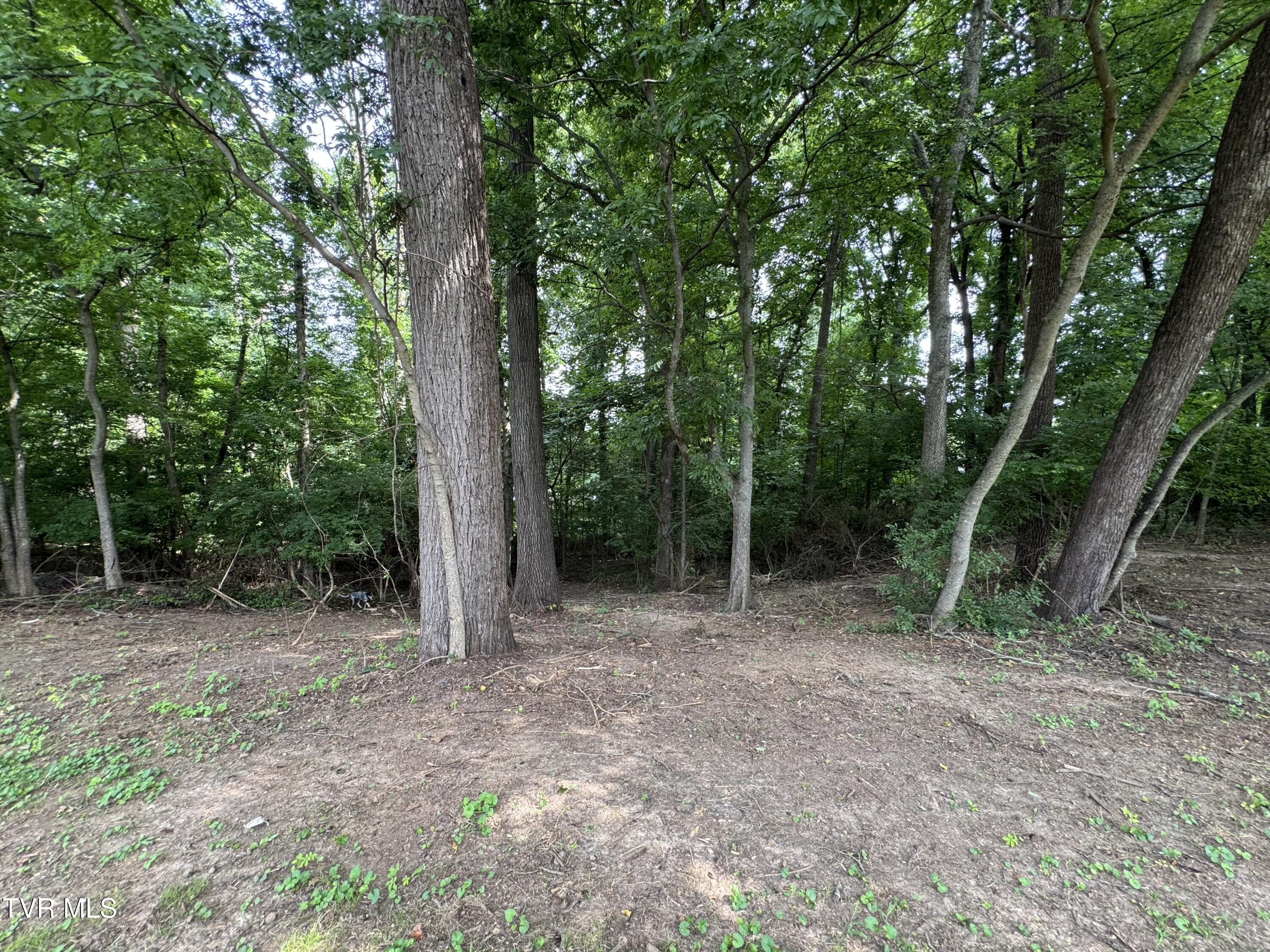 732 Greenbriar Road Talbott, TN 37877 - Photo 6 of 21 IMG_6296