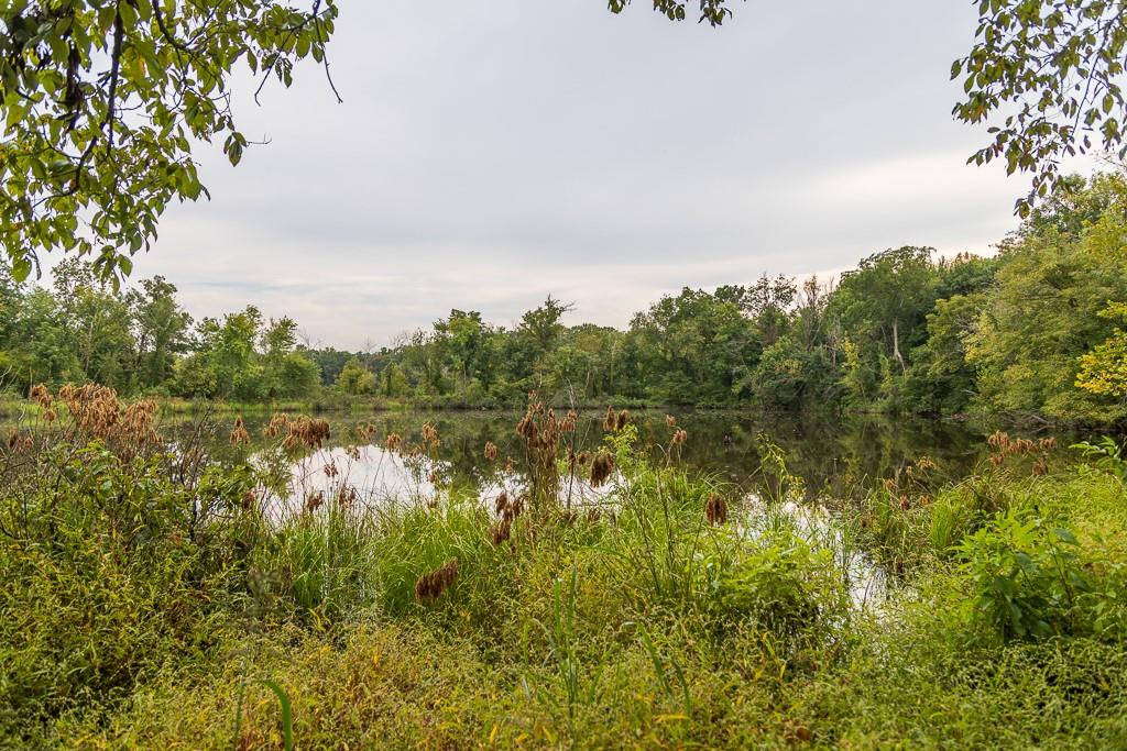 10374 South 1575th Road Nevada, MO 64772 - Photo 40 of 42