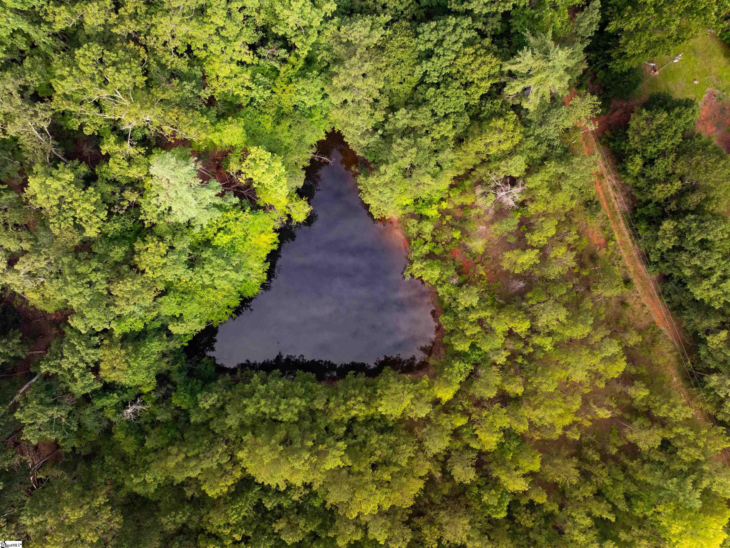 415 Silver Creek Road Central, SC 29630 - Photo 19 of 31