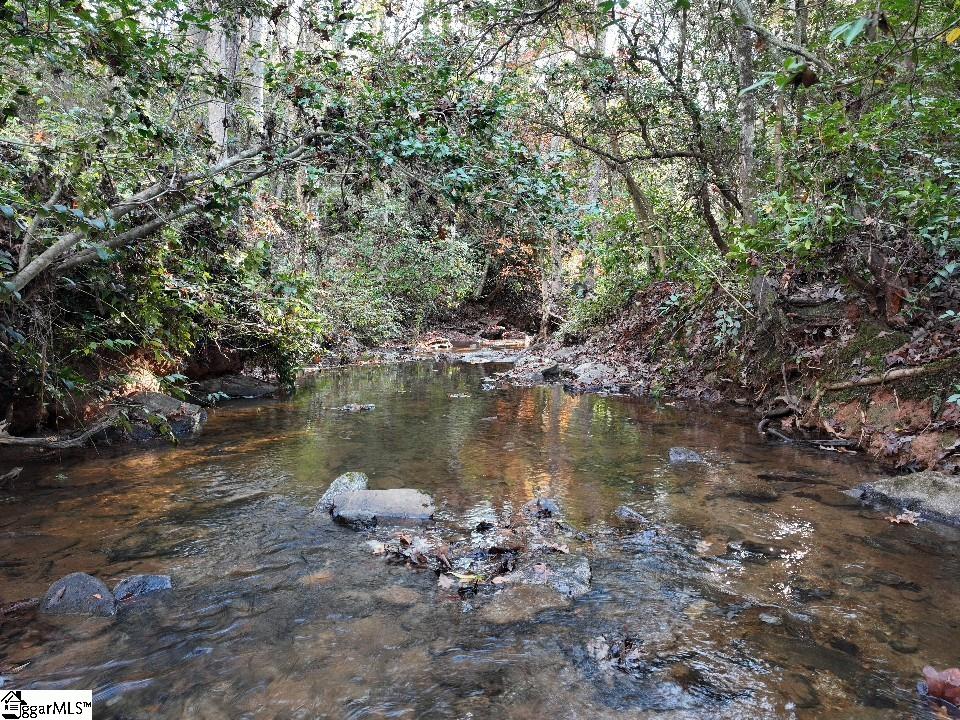 415 Silver Creek Road Central, SC 29630 - Photo 20 of 31
