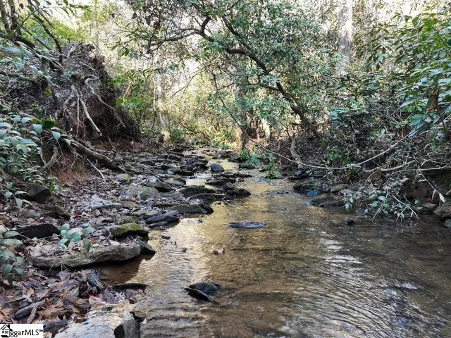 $1,975,000 | 415 Silver Creek Road, Central, SC 29630