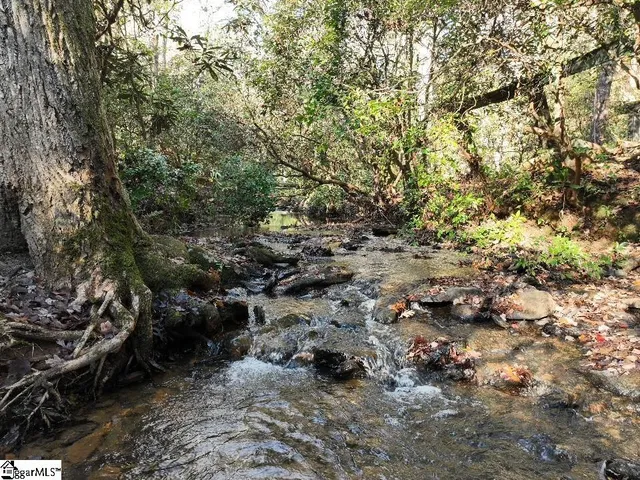 $1,975,000 | 415 Silver Creek Road, Central, SC 29630