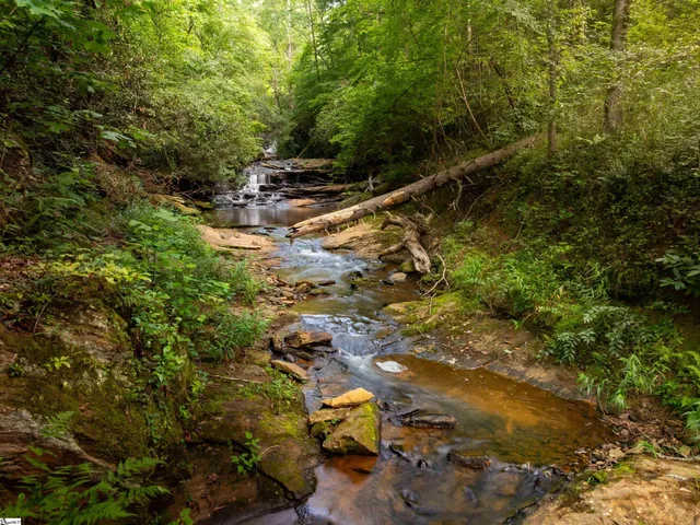 $1,975,000 | 415 Silver Creek Road, Central, SC 29630