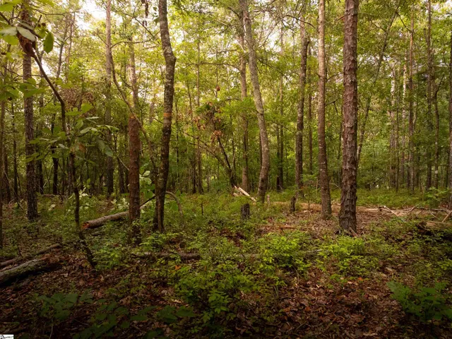 $1,975,000 | 415 Silver Creek Road, Central, SC 29630