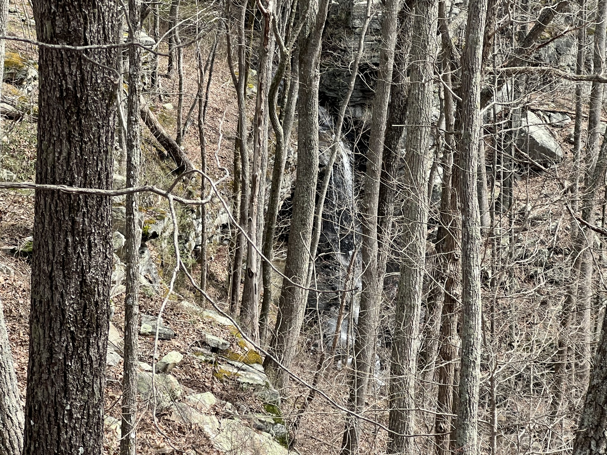 a view of wooden walls