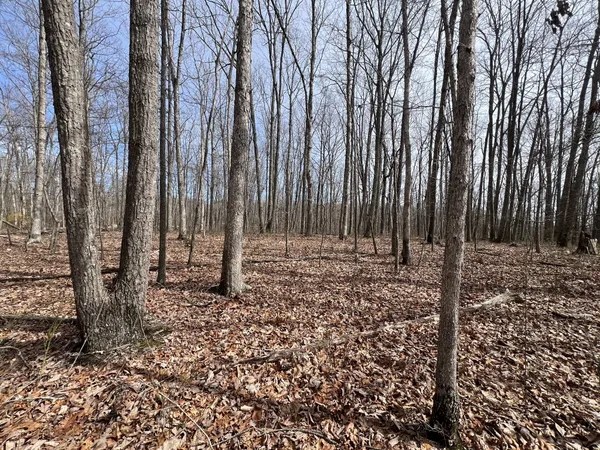 $99,900 | 4441 Deer Run Road, Pelham, TN 37366