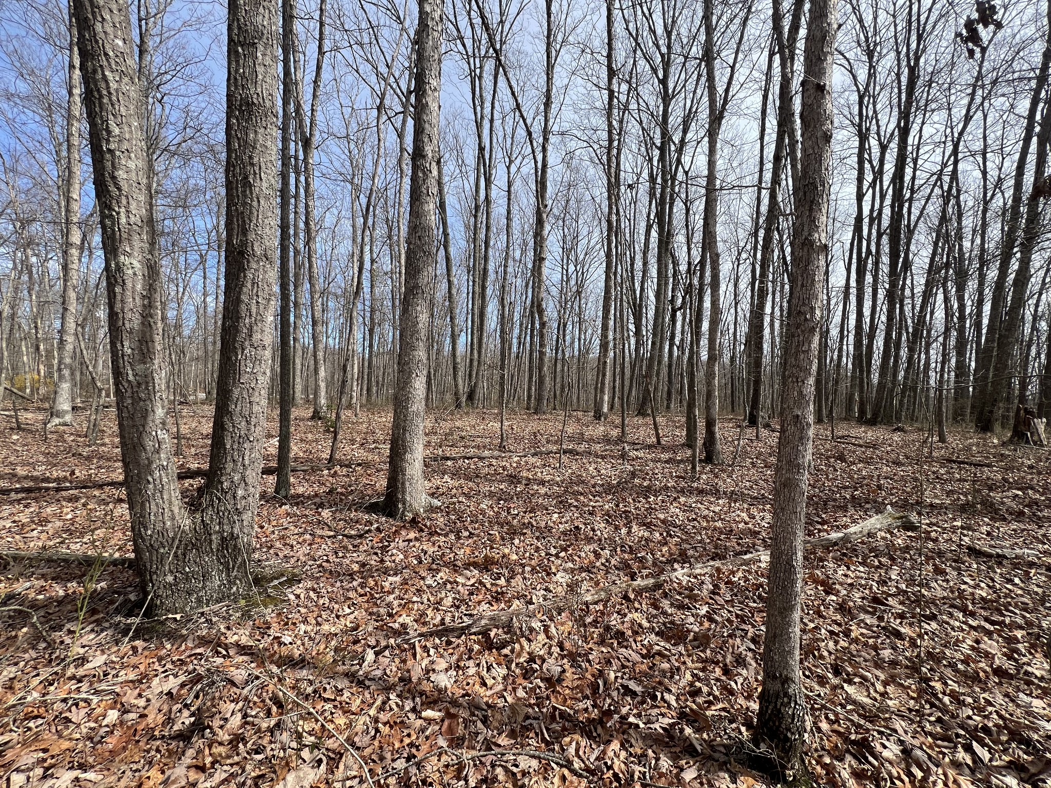 4441 Deer Run Road Pelham, TN 37366 - Photo 15 of 16 a view of outdoor space with wooden fence