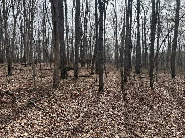 $99,900 | 4441 Deer Run Road, Pelham, TN 37366