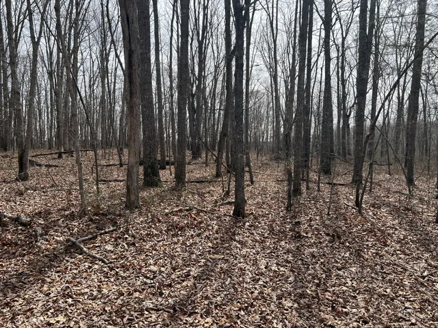 $99,900 | 4441 Deer Run Road, Pelham, TN 37366