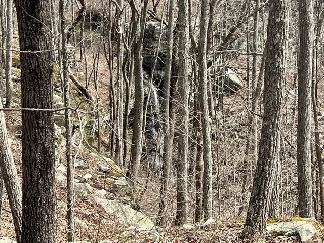 a view of wooden walls