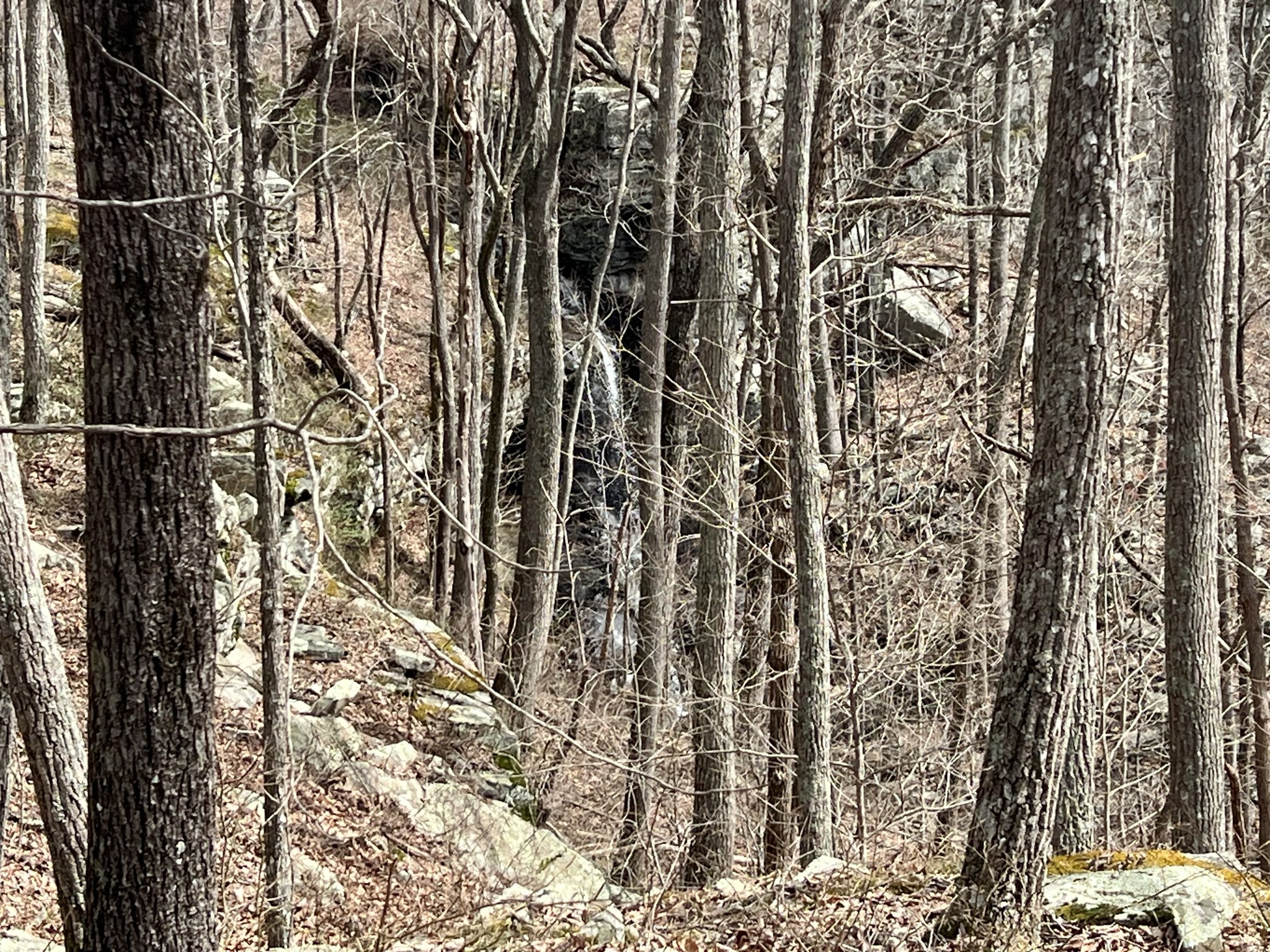 4441 Deer Run Road Pelham, TN 37366 - Photo 2 of 16 a view of wooden walls
