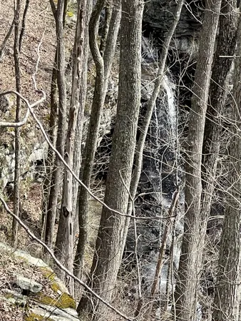 a close up of a shower