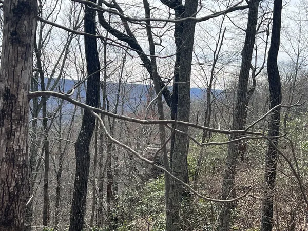 a backyard of a house with wooden stairs and deck