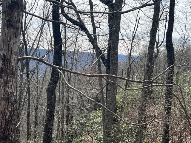 a backyard of a house with wooden stairs and deck