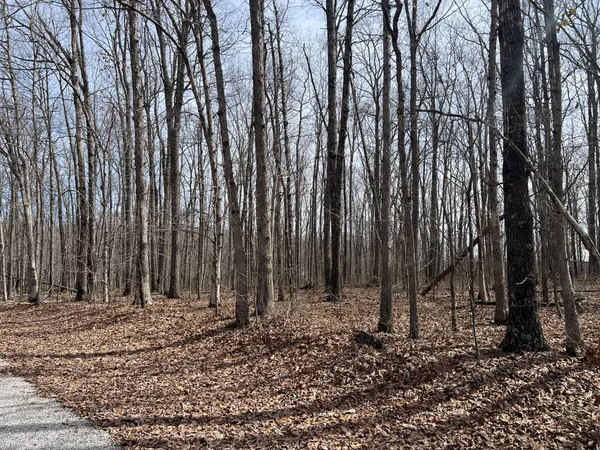 a view of wooden fence