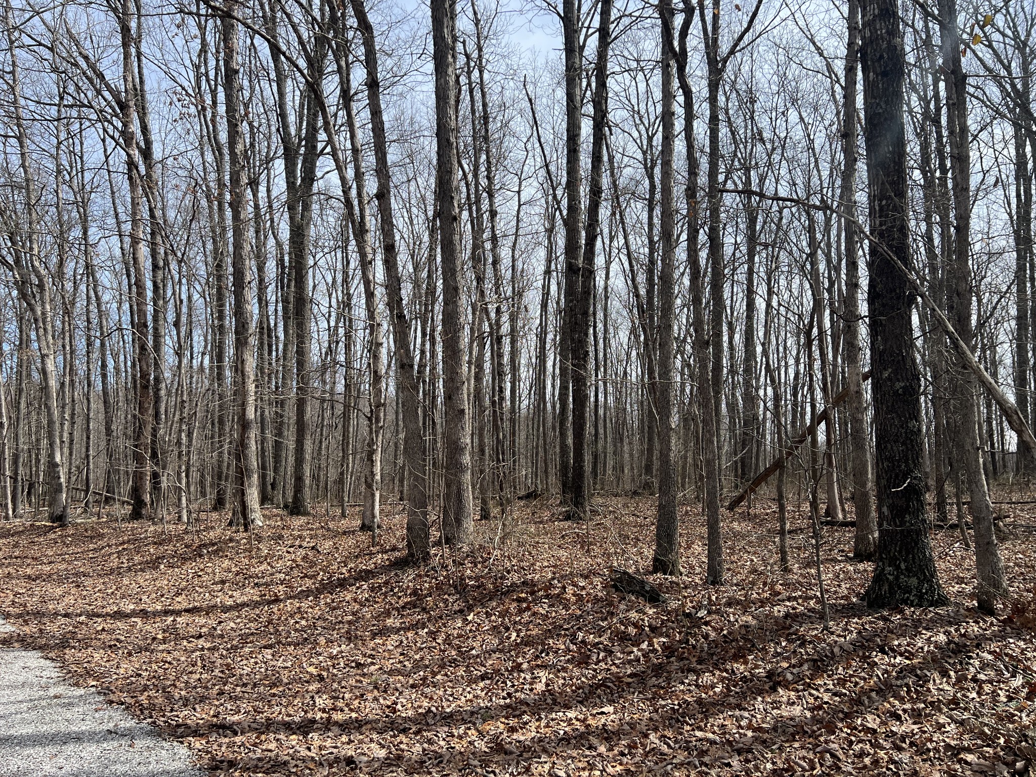 4441 Deer Run Road Pelham, TN 37366 - Photo 6 of 16 a view of wooden fence