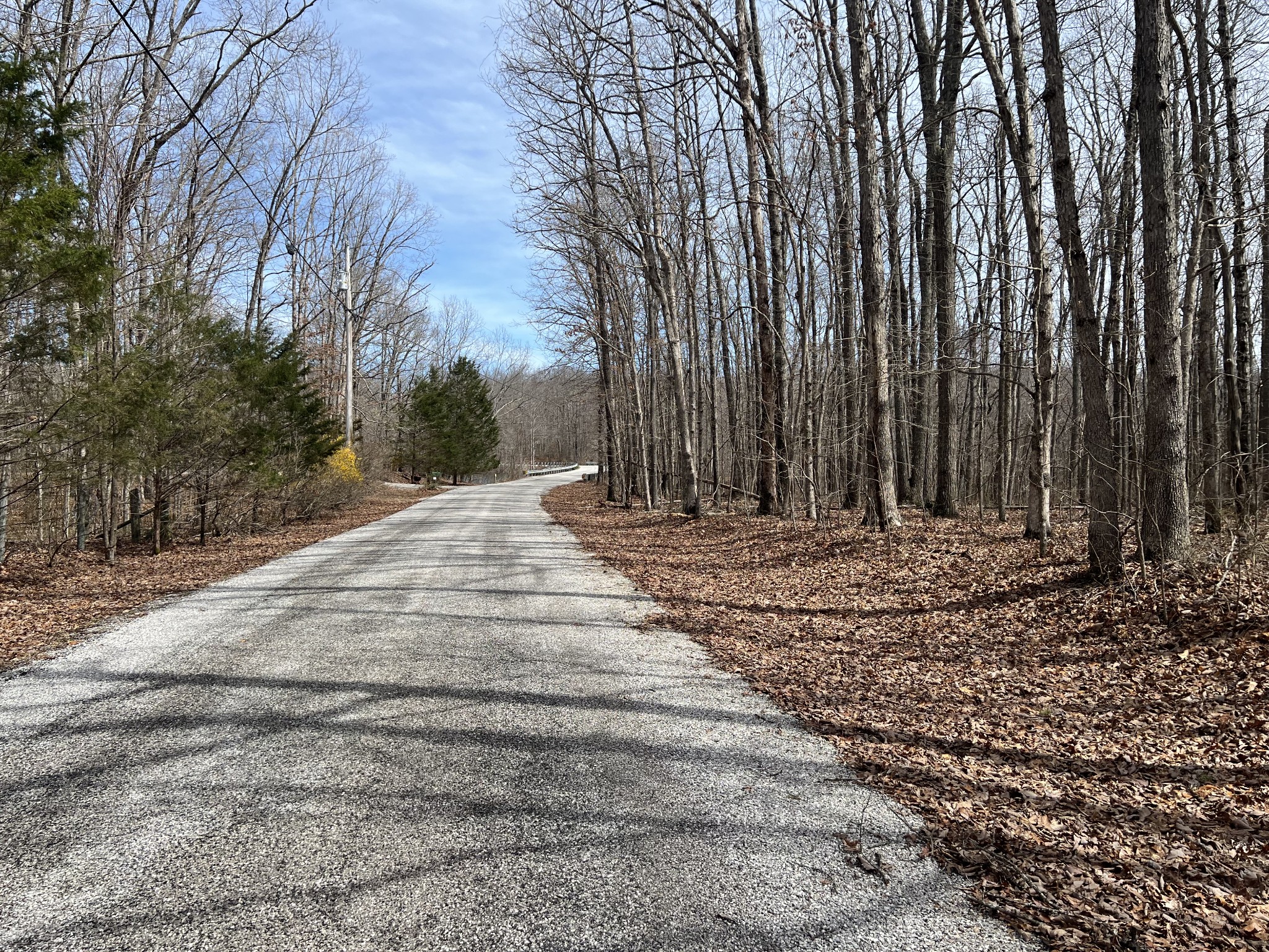 4441 Deer Run Road Pelham, TN 37366 - Photo 7 of 16 a view of backyard with wooden fence