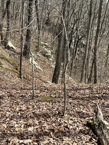a view of a pathway with a yard