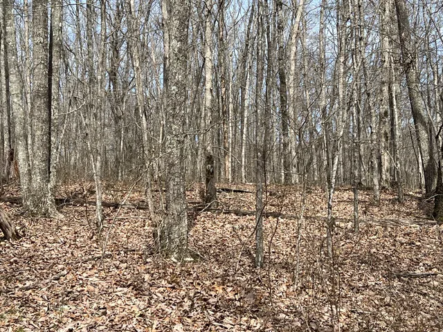 a view of outdoor space